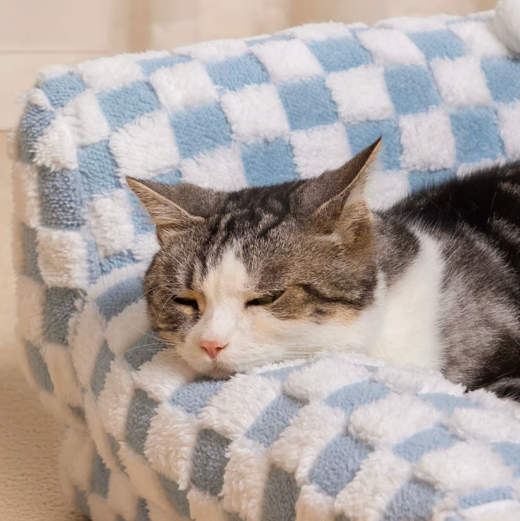 PetPal™ CloudComfort Pet Bed ☁️💛