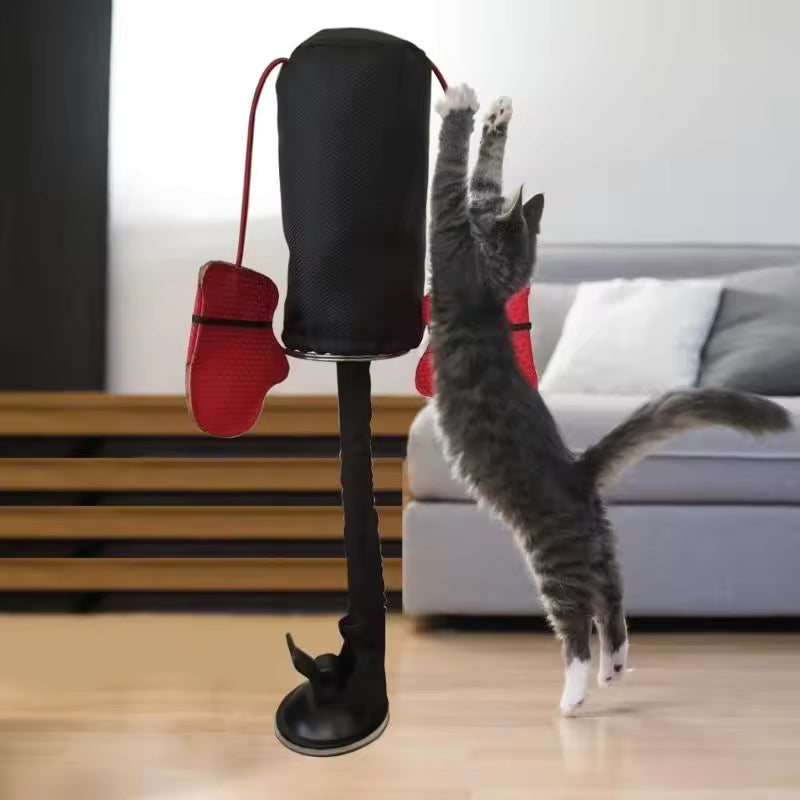 Pawch!™