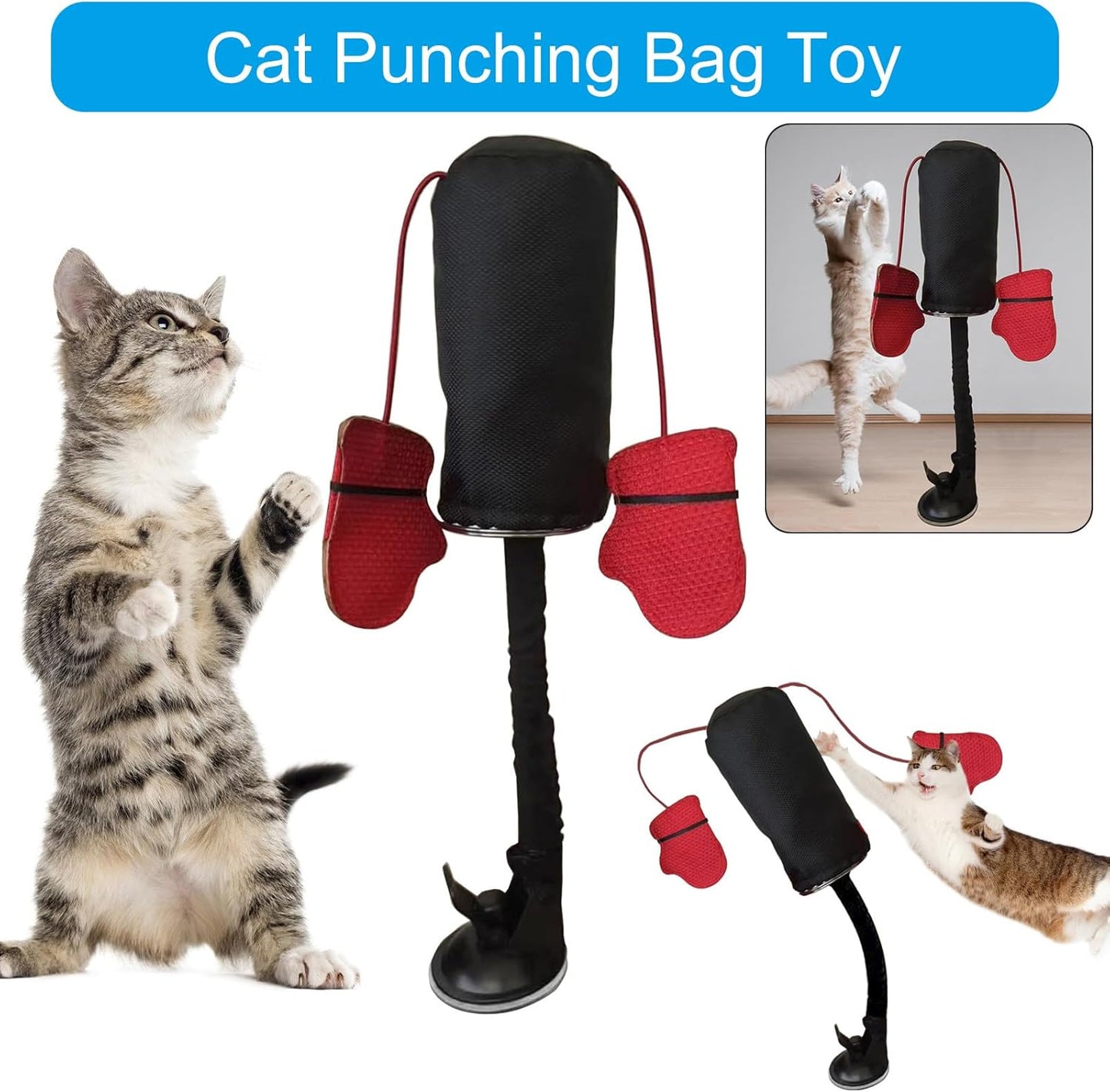 Pawch!™