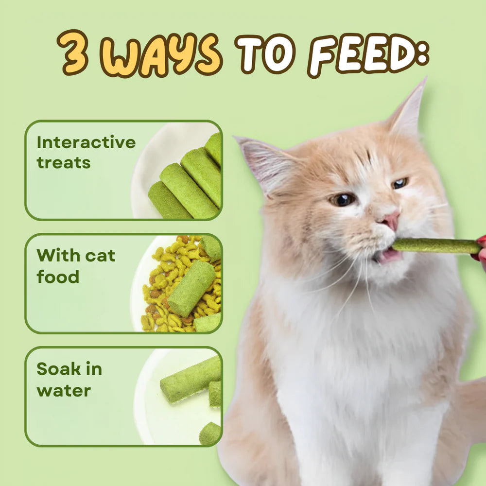PetPal - Hairball Relief Sticks (PACK OF 6)