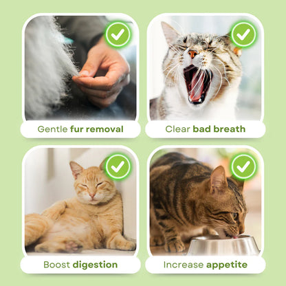PetPal - Hairball Relief Sticks (PACK OF 6)