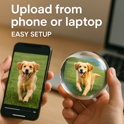 Petpal™ - Video Memory Crystal