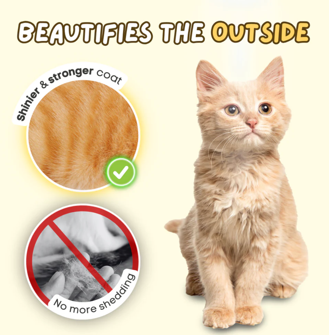 Petpal- Kitty Natural Oil Pump