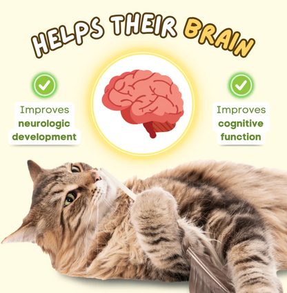 Petpal- Kitty Natural Oil Pump