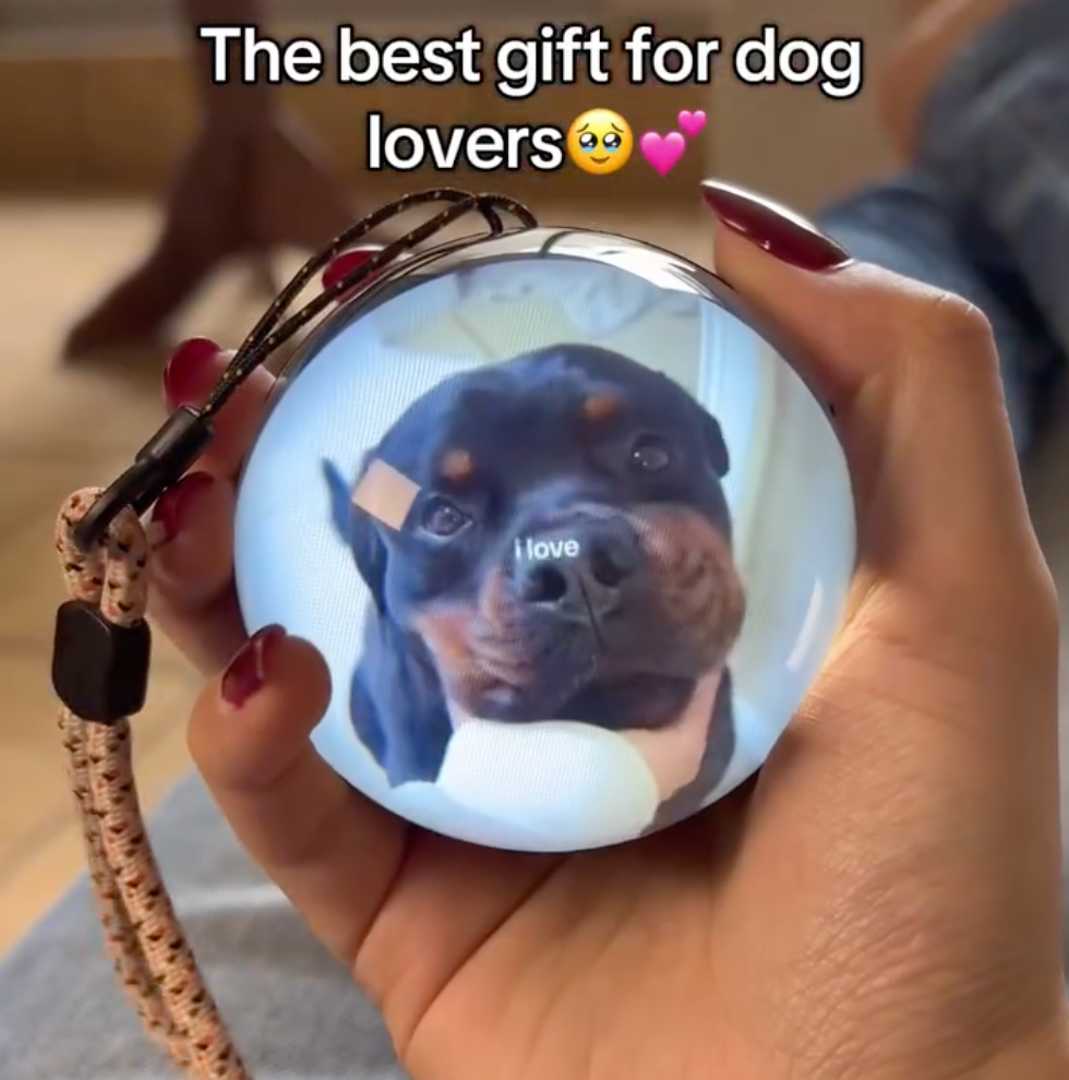 Petpal™ - Video Memory Crystal