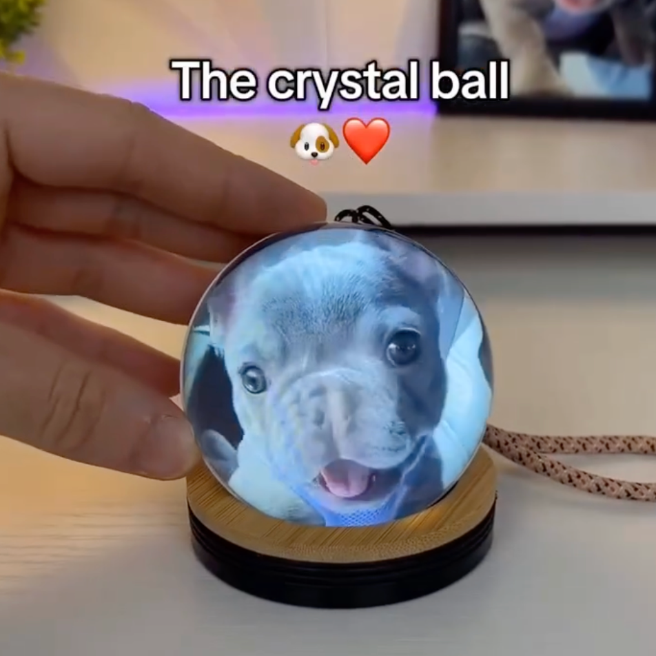 Petpal™ - Video Memory Crystal