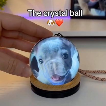 Petpal™ - Video Memory Crystal