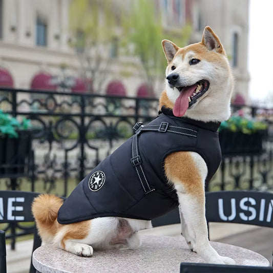 Ashford™ Canine Coat